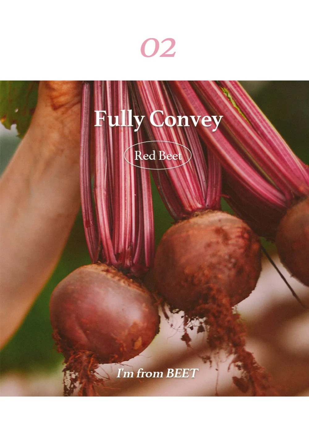Beet Purifying Mask (110g) - Image 19