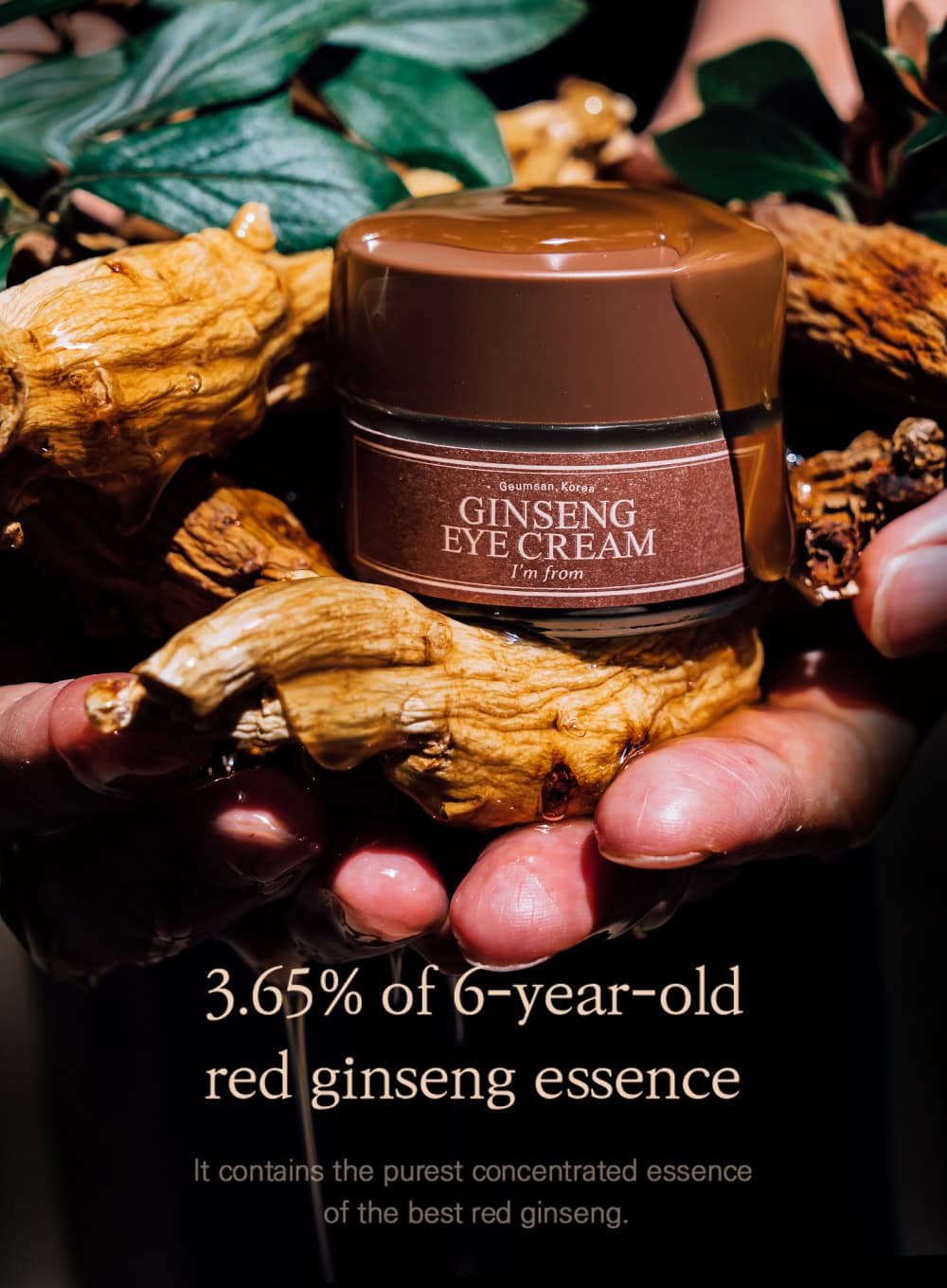 Ginseng Eye Cream (30g) - Image 3