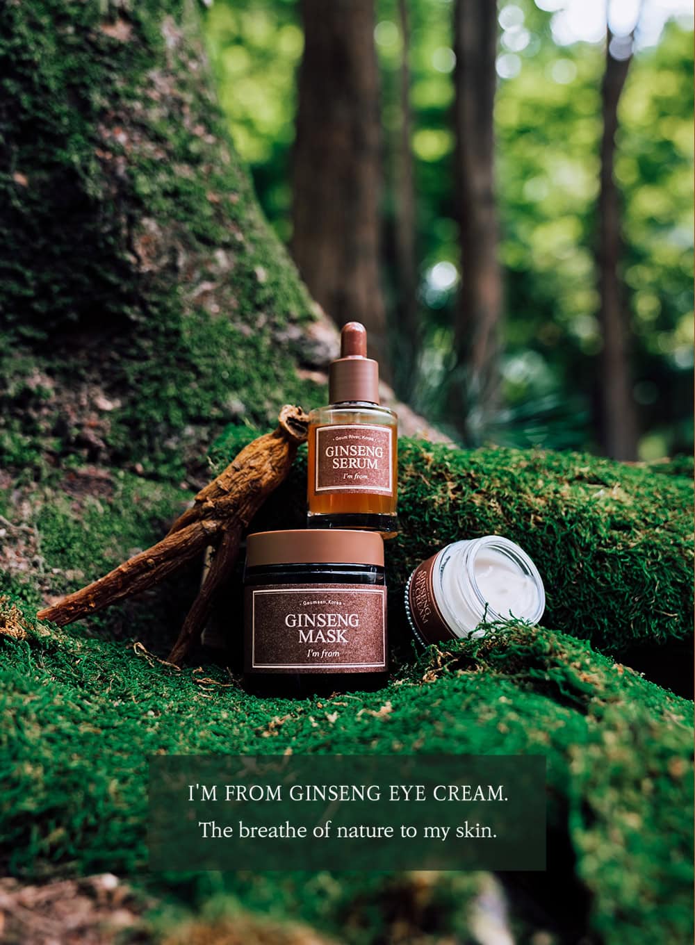 Ginseng Eye Cream (30g) - Image 6