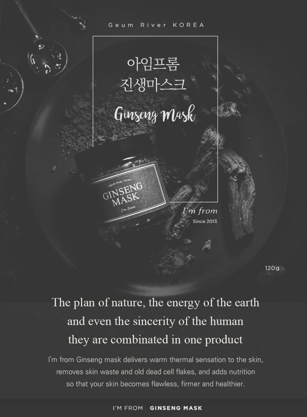 Ginseng Mask (120g) - Image 2