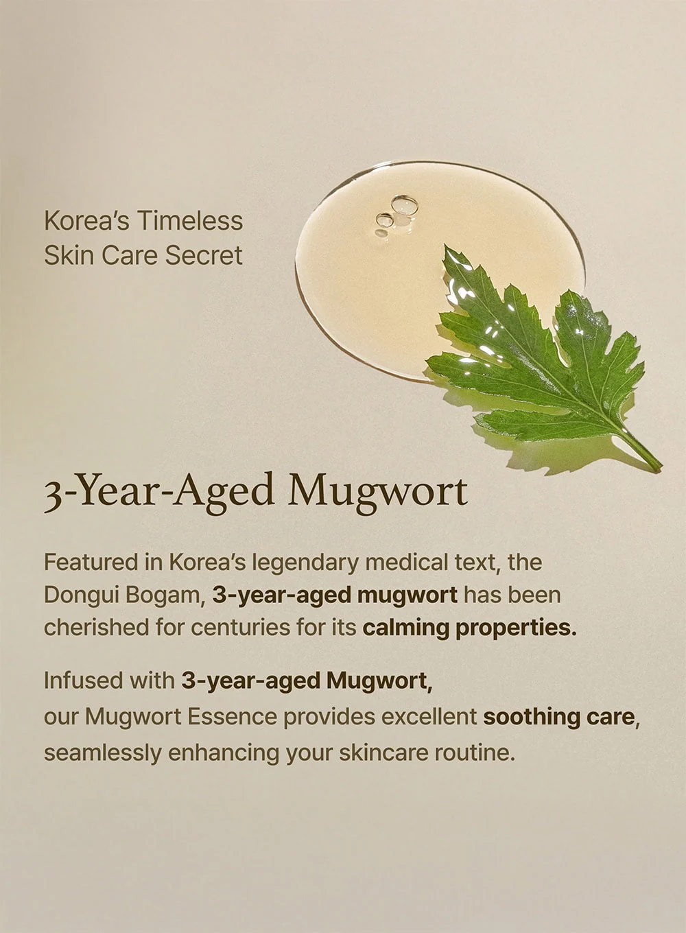 Mugwort Essence (160ml) - Image 5