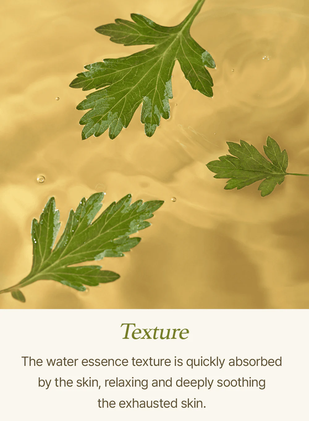 Mugwort Sheet Mask (23ml / 1ea) - Image 10