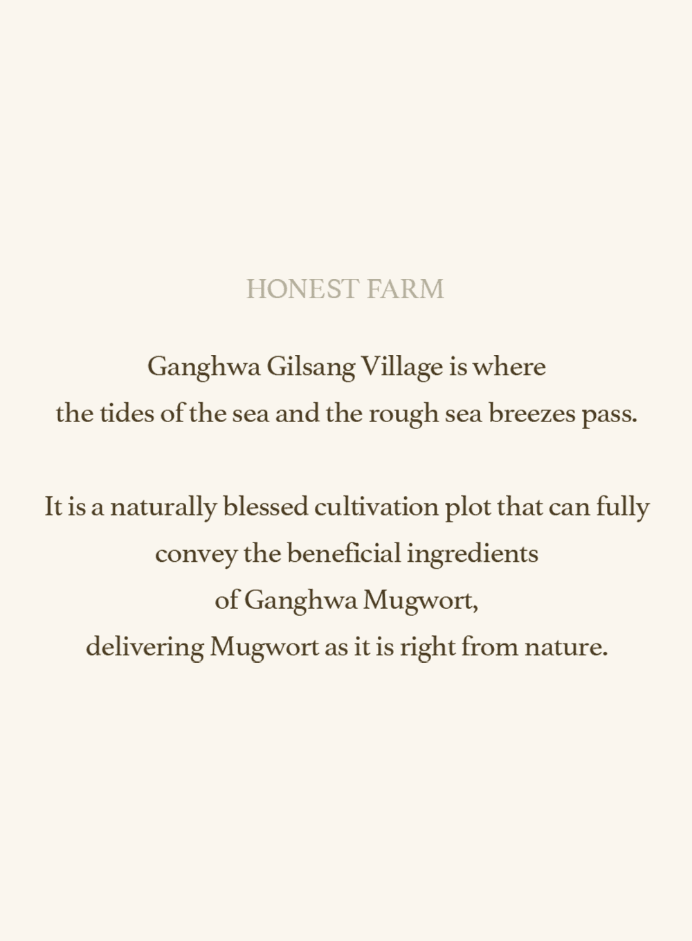 Mugwort Sheet Mask (23ml / 1ea) - Image 15