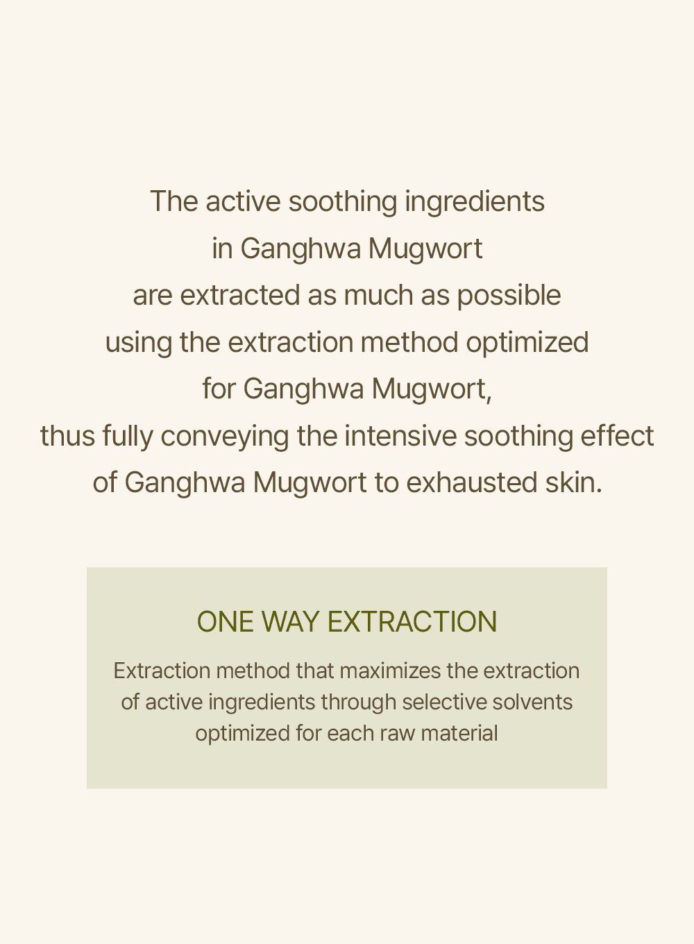Mugwort Sheet Mask (23ml / 1ea) - Image 5