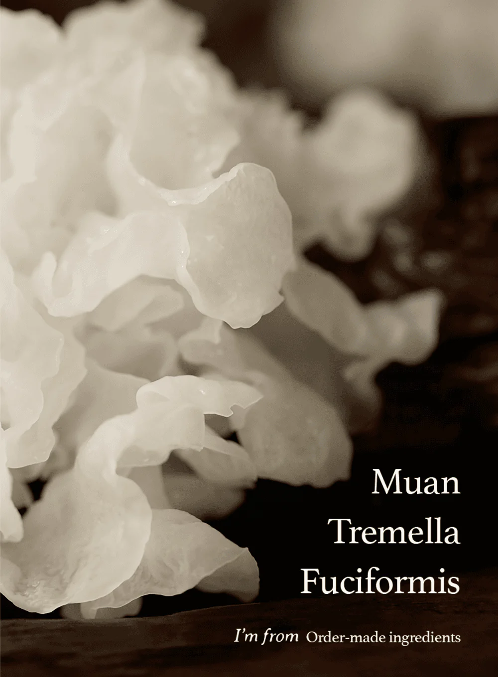 Mushroom Collagen Cream (50ml) - Image 3