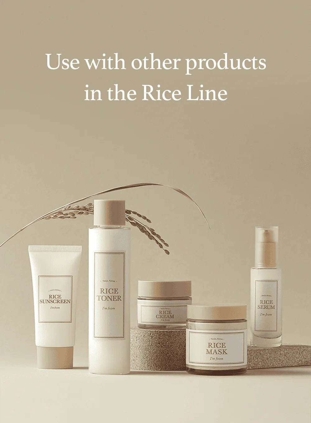 Rice Sunscreen (50ml) - Image 13