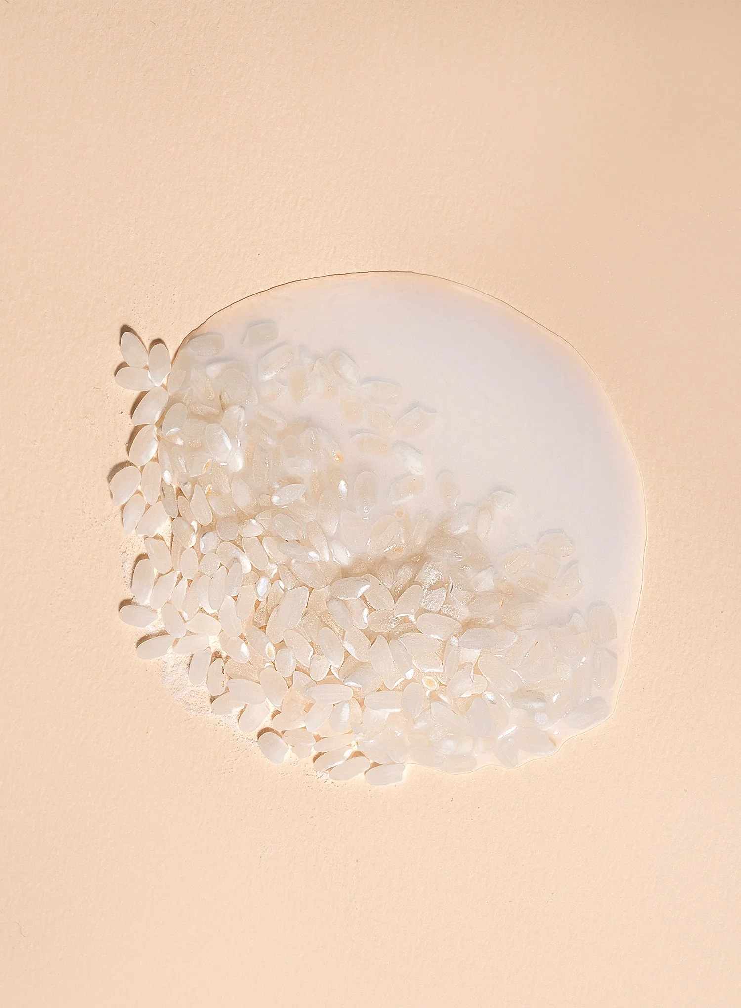Ssal Rice Dewy Essence Toner (150ml) - Image 7